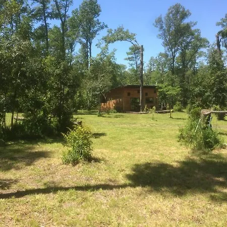 Cabanas Pucon Location Exterior photo