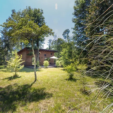 Cabanas Pucon Location Exterior photo