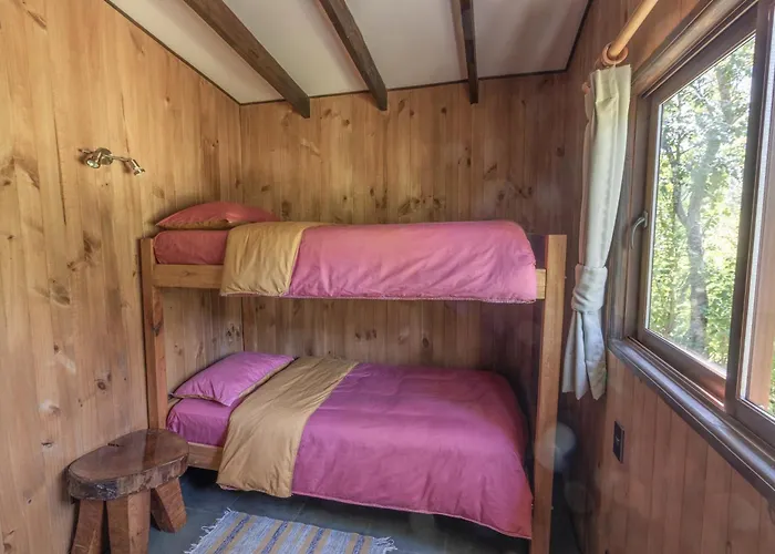 Cabanas Pucon Location